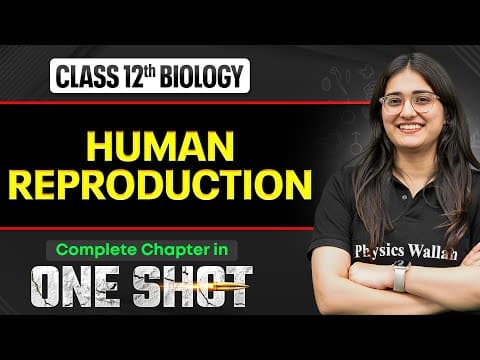 Human Reproduction Class 12 One Shot 🔥| NCERT Full Revision + PYQs | Biology Chapter 2 | VIJETA 2026